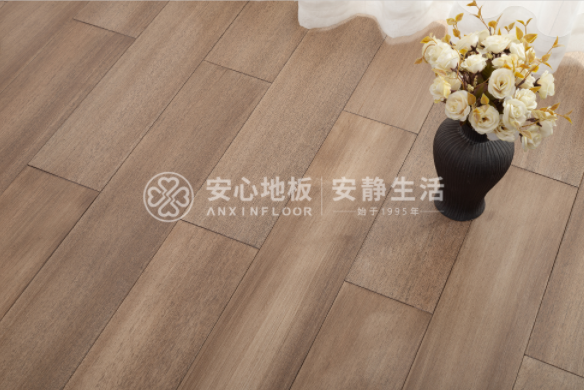 圓盤豆3.png 圓盤豆3.png